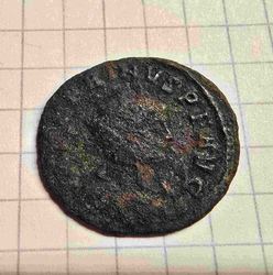 Adobe Express - file.jpg