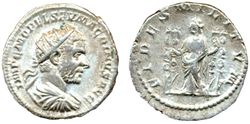 macrinus_69_2.jpg
