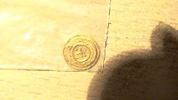 coins 124.jpg