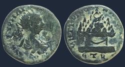 Screenshot 2026-02-11 102422.jpg