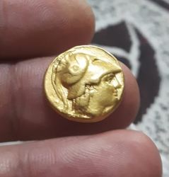 WhatsApp Image 2026-02-18 at 13.59.02.jpeg