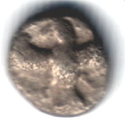 Magnesia2.jpg