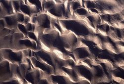 (3) Oszillationsrippeln  Wattenmeer.jpg