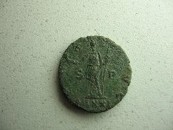 Carausius gereinigt 010.jpg