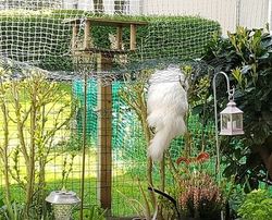 20260419_151444.jpg