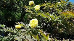 20260501_114511.jpg