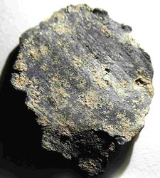 P1010127_2.JPG