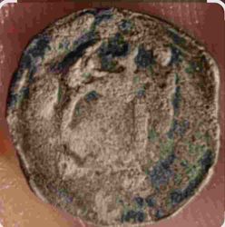 1000049978_300dpi (1).jpg
