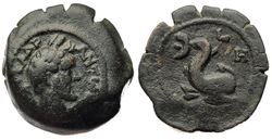 AntoninusPiusDelphin8.jpg