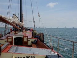 DSC01216.jpg