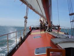 DSC01250.jpg