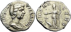 15715853.jpg
