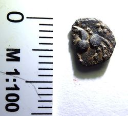 P1010262_1.JPG