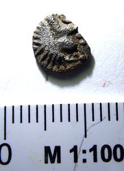 P1010264_2.JPG