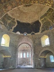 IMG_7797.jpeg