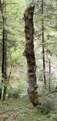 IMG_3588.jpeg