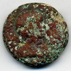 comp3_265-a.jpg