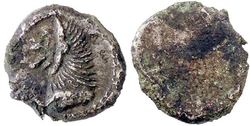 6627640 falsi Populonia.jpg