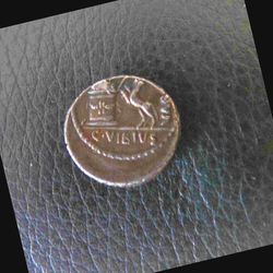 Denar Vibius Varus 42. v. Chr. Rv.jpg
