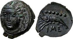 15373046.jpg