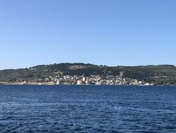 IMG_8896.jpeg