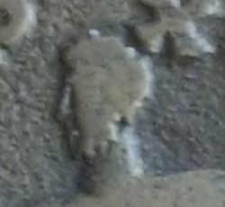 20260801_103652.jpg