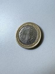 IMG_6988.jpeg