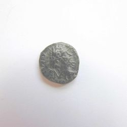 Denar Septimius Severus ADVENTVT Vs.jpg