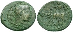 nikaia_gallienus_RecGen836.jpg