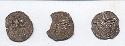 Heripo-2.JPG