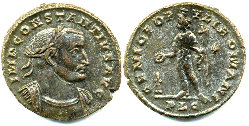 const.chlorus follis.jpg