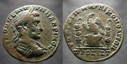 nikopolis_macrinus_AMNG1714var.jpg