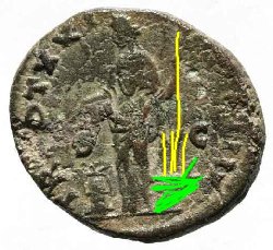 Annona.jpg