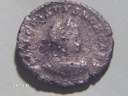 crispus claritas 001.jpg