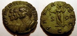 c05_carausius.jpg