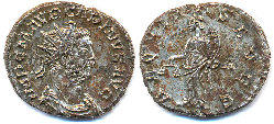 carinus - aequit.jpg (45.19 KiB) 635 mal betrachtet carinus - aequit.jpg