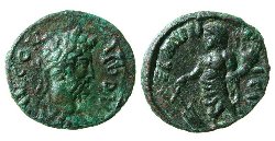 coela_commodus_Imhoof-Blumer6.jpg