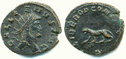 gallienus panther.jpg