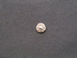 PICT0060.jpg