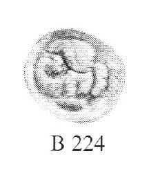 224.JPG