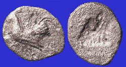 w-2078.jpg