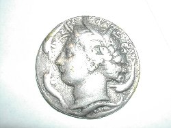 DSCN4774.JPG