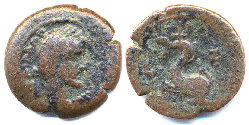 ant pius delphin - trident.jpg
