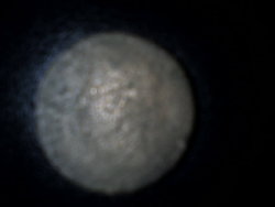 Photo-0001.jpg