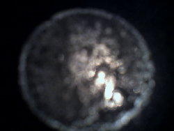 Photo-0003.jpg