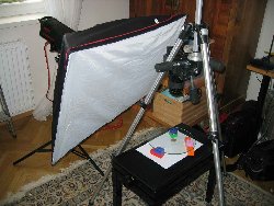 IMG_4782.JPG