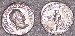 rfm8387.jpg