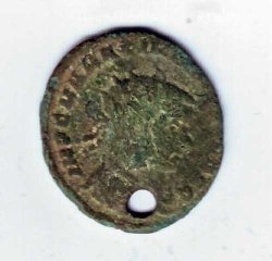 K640_follis.JPG