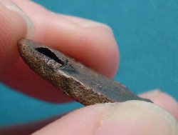 Detail 2.jpg (15.72 KiB) 1886 mal betrachtet Detail 2.jpg