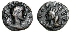 edessa_decius_BMC166.jpg